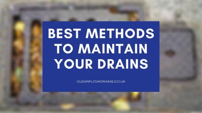 Outdoor drain and cover in a residential setting