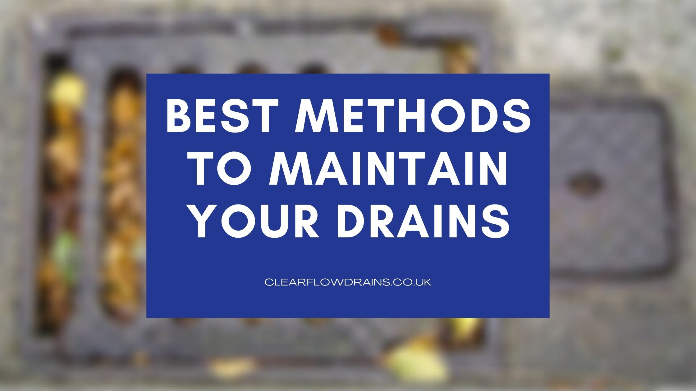 Best Methods to Maintain Your Drains